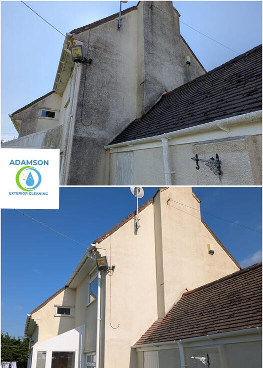 Black algae growth on this property in Okehampton.Treated with a full Softwash Service